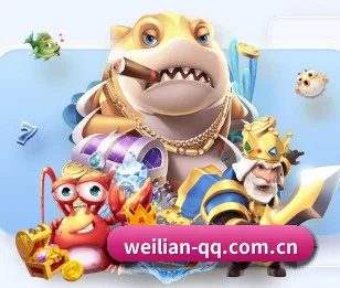 从全球体育赛事到热门游戏攻略的内容探索（William）